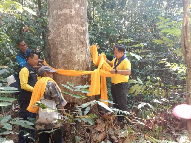 ร่วมโครงการบวชป่าต้นน้ำ เพื่อชีวิตต้นน้ำ ลุ่มน้ำปากพนัง ครั้งที่ ๓